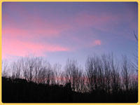 Terricciola - Toscana